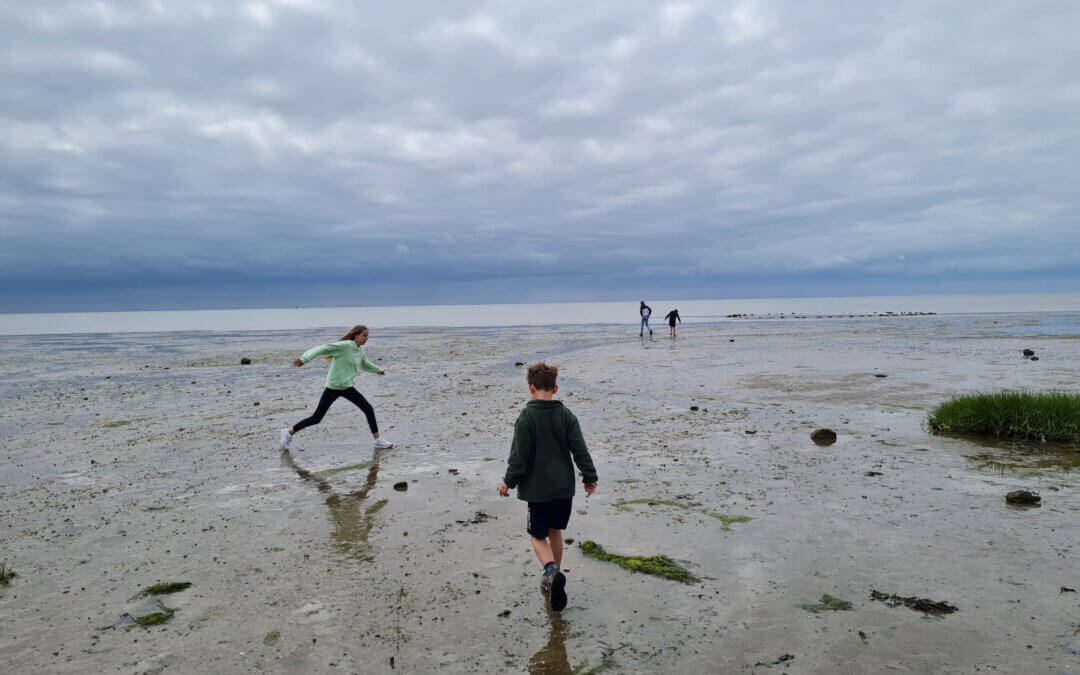 Doorontwikkeling buitendienst Terschelling