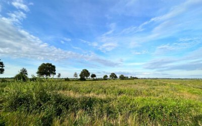 Groenvisie draagt bij aan identiteit en beleving Borger-Odoorn